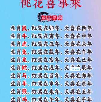 解读七九一起二在上:究竟代表哪几个生肖?