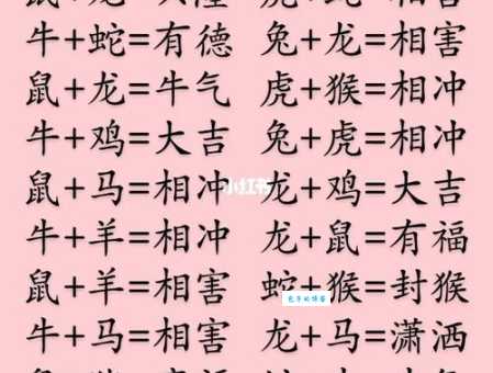 红口白牙究竟是哪种生肖？详解生肖对应关系