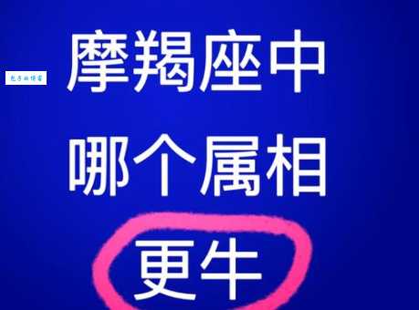 十二生肖忠诚度大揭秘：到底哪个生肖最重情义？