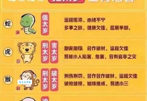 点滴归公是哪个生肖?答案揭晓!