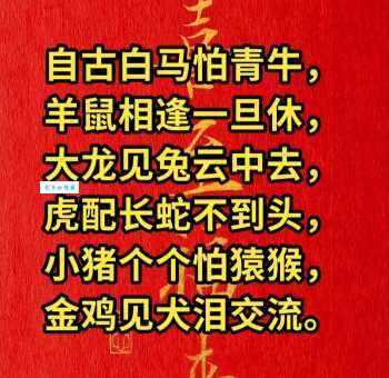 想知道直道守节是哪个生肖？这篇告诉你答案