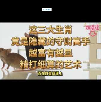 急中生智?方寸不乱打一生肖,揭秘生肖背后的秘密
