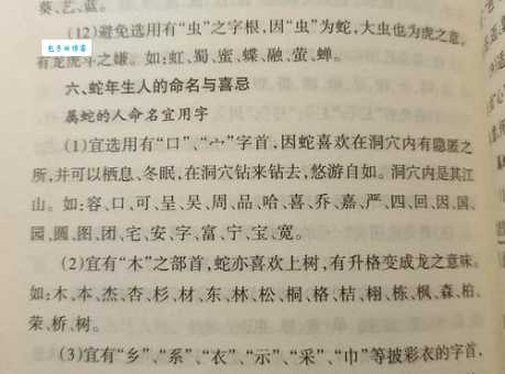 为非作歹的生肖有哪些?带你了解那些“不安分”的生肖