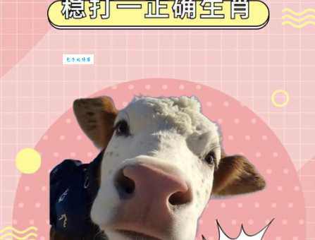 步步为营的生肖是哪一个?细说生肖背后的含义