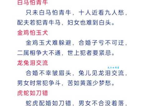 如沐春风代表哪个生肖？答案让你意想不到！