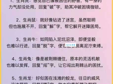 乡土难离，是哪几个生肖的性格特点？