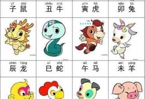 一无所获打一最佳生肖是什么动物？答案揭晓！