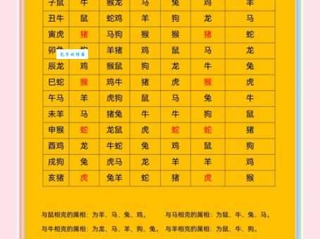 三五接五配一三是什么生肖?答案揭晓!
