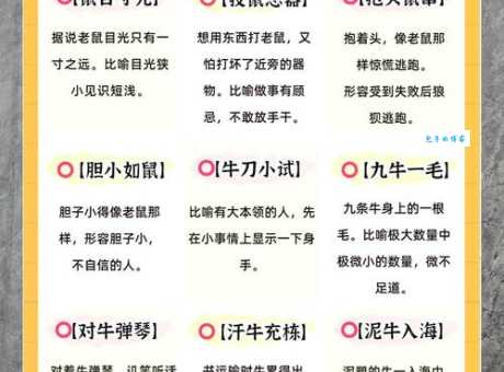 千锤百炼是哪个生肖？详解生肖与成语的关联