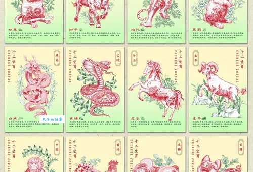 三跪九叩与十二生肖哪个最匹配？趣味生肖解读！