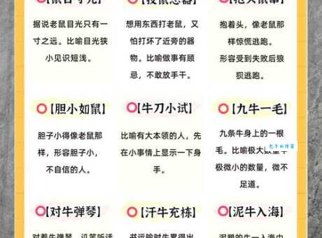 班门弄斧是什么生肖动物？详解成语与生肖的关联