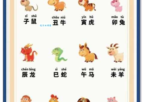年幼无知对应哪个生肖?揭秘最佳答案!