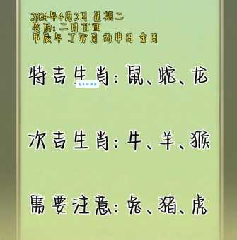 哪个生肖口若悬河？详解口若悬河生肖之谜