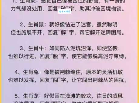 解开谜题：隔岸观火究竟是哪个生肖？