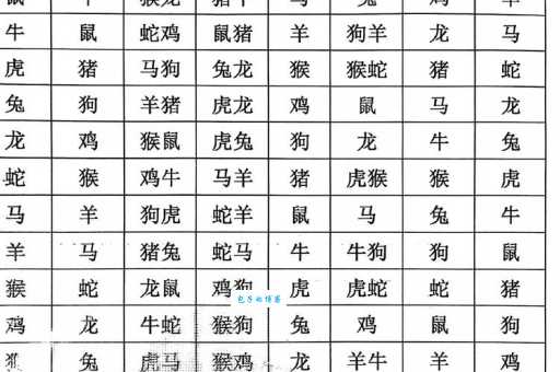 身经百战对应哪个生肖?揭秘生肖与战争的渊源