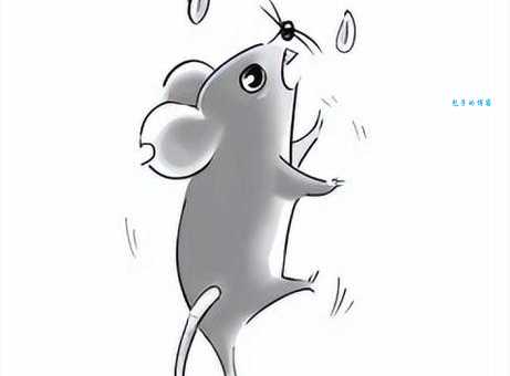 一句抱头鼠窜,猜一个生肖动物,太简单了!