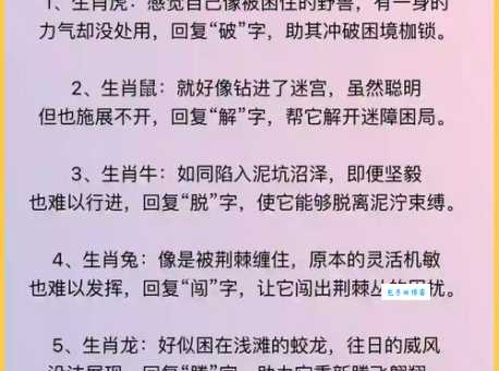 想知道哪些生肖最“后生可畏”？这里有你想要的答案！