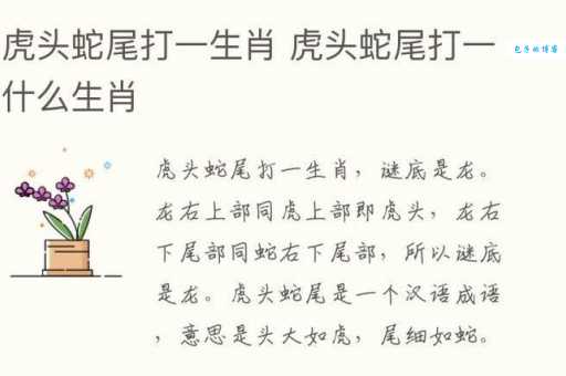 九霄云外打一生肖：谜底和详细解释