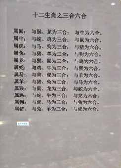 六字开出一二伴是哪个生肖?速来解谜!