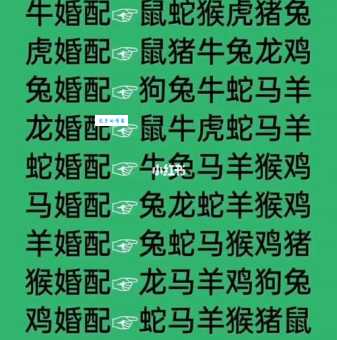 哪个生肖最容易焦心如焚？深入分析生肖性格特点