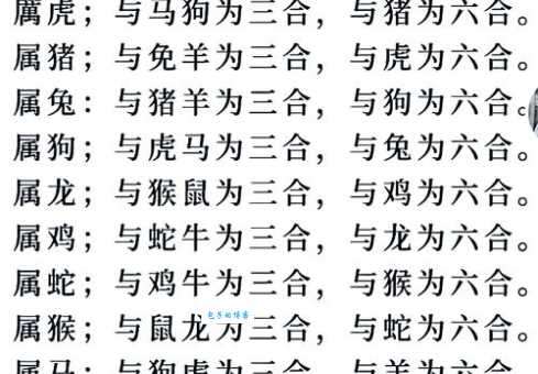 吉取五九跟三四对应什么生肖?快速查询生肖结果