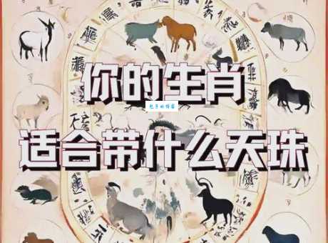 “天各一方”代表什么生肖？答案让你意想不到！