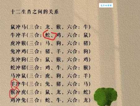 福无十全是什么动物？从十二生肖角度解读“福无十全”