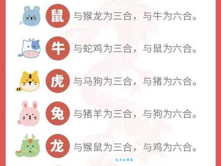 二人三足对应什么生肖?答案揭晓!
