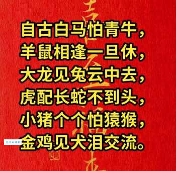 八拜之交打一个生肖是什么动物?答案揭晓!