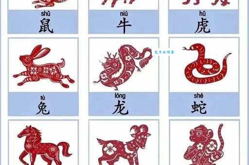 改朝换代打一生肖是什么动物？答案揭晓！