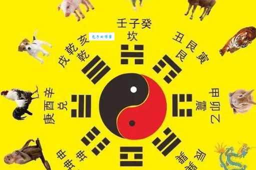 后宫凶险代表的生肖是哪些?猴马鸡最危险?