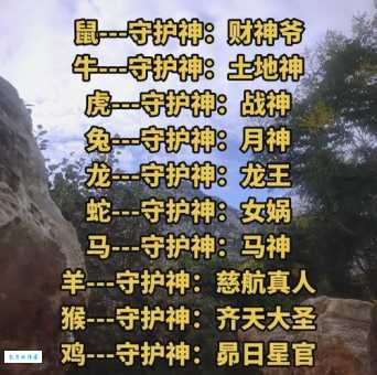 先锋保国卫家园是什么生肖？传统文化中的生肖寓意