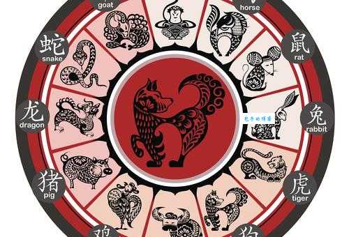 先锋保国卫家园是什么生肖？传统文化中的生肖寓意