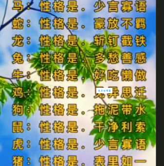 破口大骂是什么生肖？十二生肖谁最爱骂人？