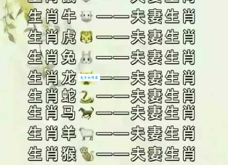 喜上眉梢对应哪个生肖？揭秘背后的生肖故事