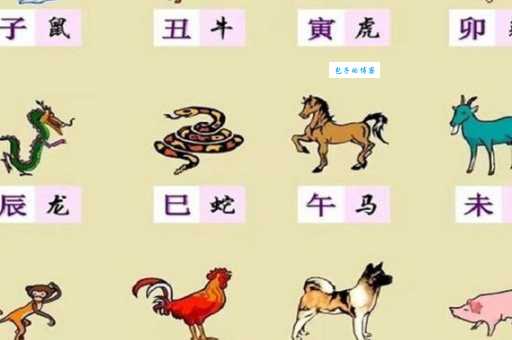 出神入化是哪几个生肖?不同生肖的独特能力