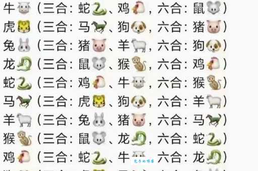 九九归一合五数,究竟是哪些生肖?