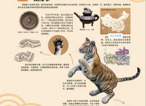 古代南北通商与动物的关系，你了解多少？