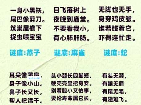 趣味谜语：说长道短打一动物，你懂吗？