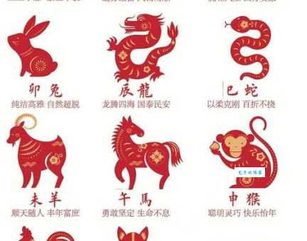 杯中之物代表什么生肖?揭秘隐藏生肖的秘密!