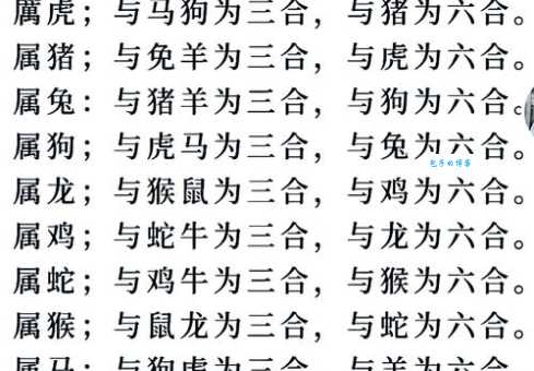 石榴武士找桂花精准一肖：详解各种生肖解读