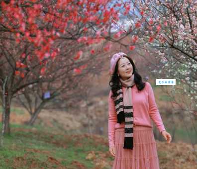 梅花美女指什么生肖?揭秘生肖背后的美丽传说