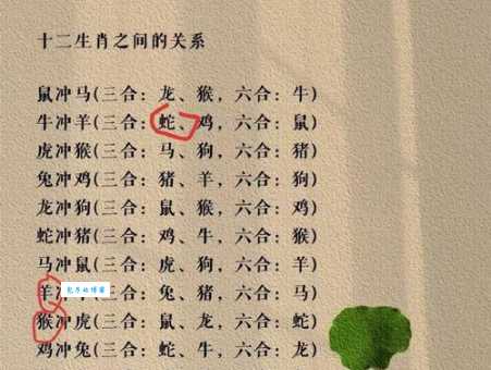 地主家中四位老婆,她们的生肖分别是什么?