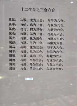 瘘不忘起打最佳一肖是什么？权威解读生肖马！