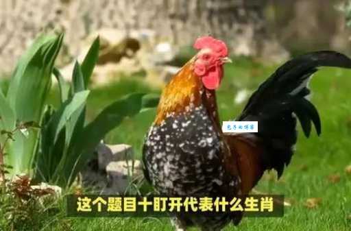 玉兔出宫打一动物，答案揭晓！究竟是什么生肖？