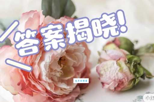 曲高和寡打一生肖?答案揭晓,你猜对了吗?