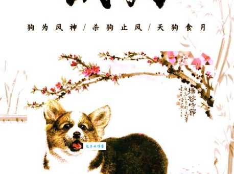 无所不能是什么生肖？揭秘十二生肖中的神秘动物