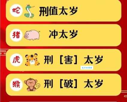 胆小怕人的生肖是哪个?民间说法与科学解释