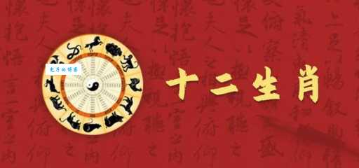 趾高气扬是哪个生肖?民间说法大比拼!