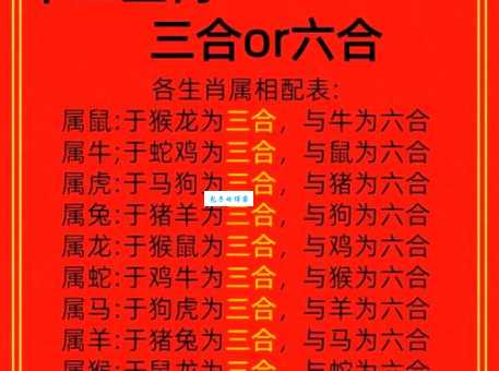 解密生肖谜题：三八两银对半分究竟是哪个生肖？